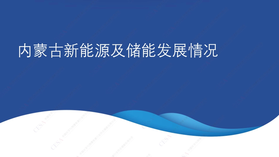 赵晨旭-储能发展的机遇与挑战_第3页