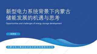 赵晨旭-储能发展的机遇与挑战