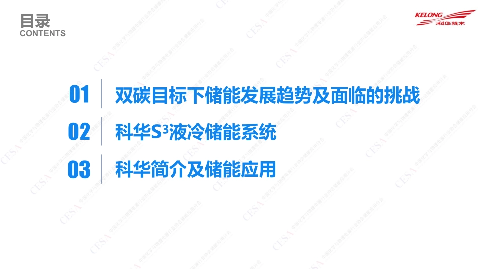 林金水长时储能技术支撑新型电力系统探析-林金水杭州储能大会_第2页