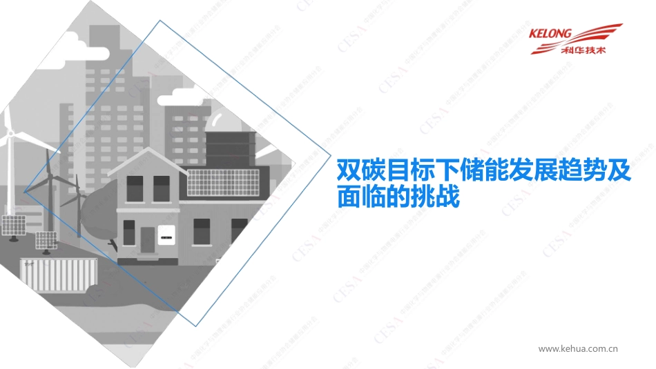 林金水长时储能技术支撑新型电力系统探析-林金水杭州储能大会_第3页