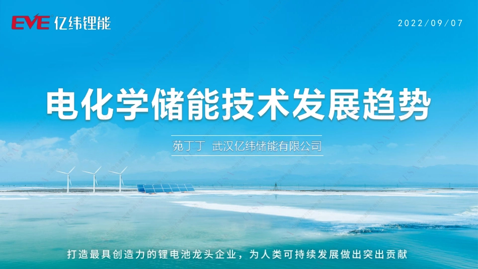 苑丁丁-电化学储能技术发展趋势-杭州储能会议_第1页