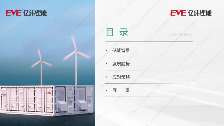 苑丁丁-电化学储能技术发展趋势-杭州储能会议_第2页