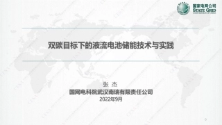 双碳目标下的液流电池储能技术与实践-国网武汉南瑞