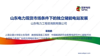 裴善鹏-山东电力现货市场条件下的独立储能电站发展V4简版物理协会发布