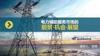 [2022储能大会]电力辅助服务市场的前景、机会与展望