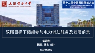 彭道刚-双碳目标下储能参与电力系统辅助服务及发展前景