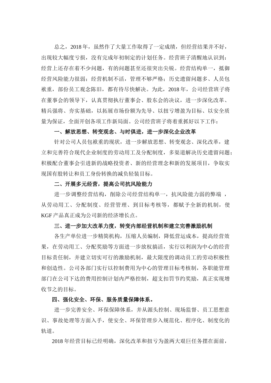 2018年度总经理工作报告_第2页