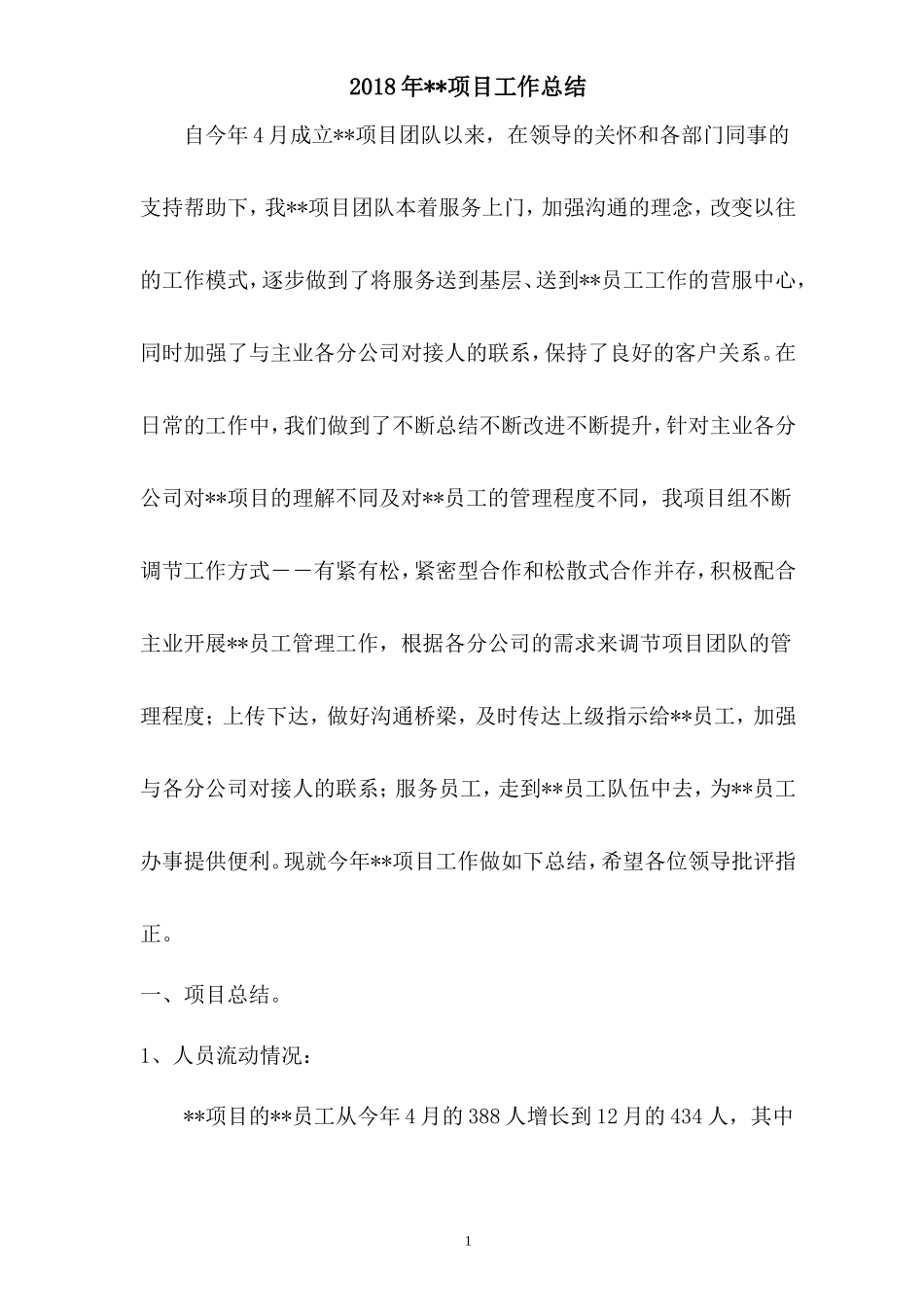 2018年项目工作总结_第1页
