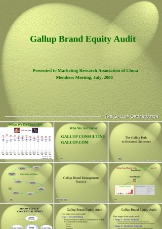 盖洛普（中国）有限公司刘启明经理演讲稿