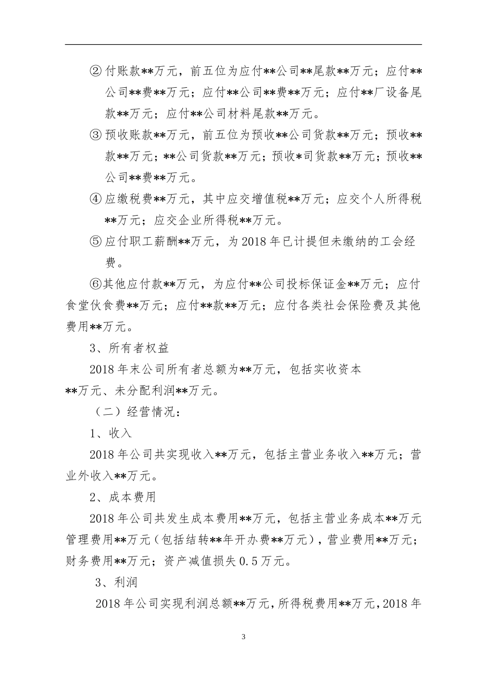 公司2018年度决算报告_第3页