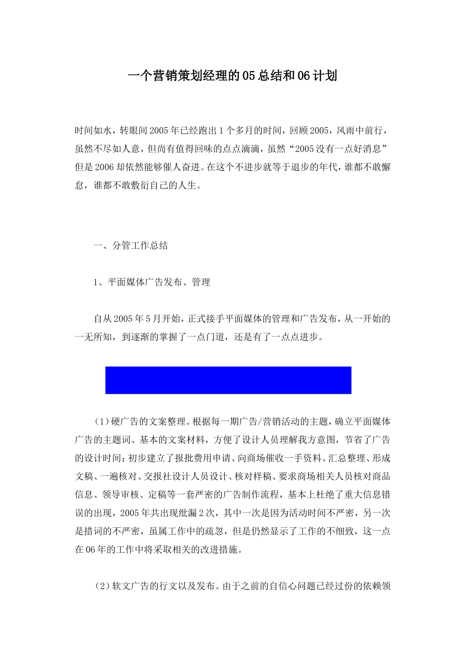 一个营销策划经理的05总结和06计划_第1页