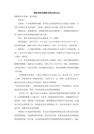 招标办副主任竞聘演讲稿