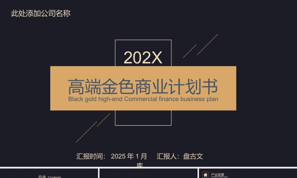 高端金色商业计划书