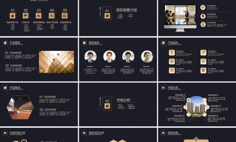 高端金色商业计划书