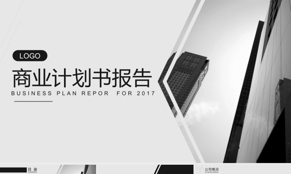 商业计划报告书