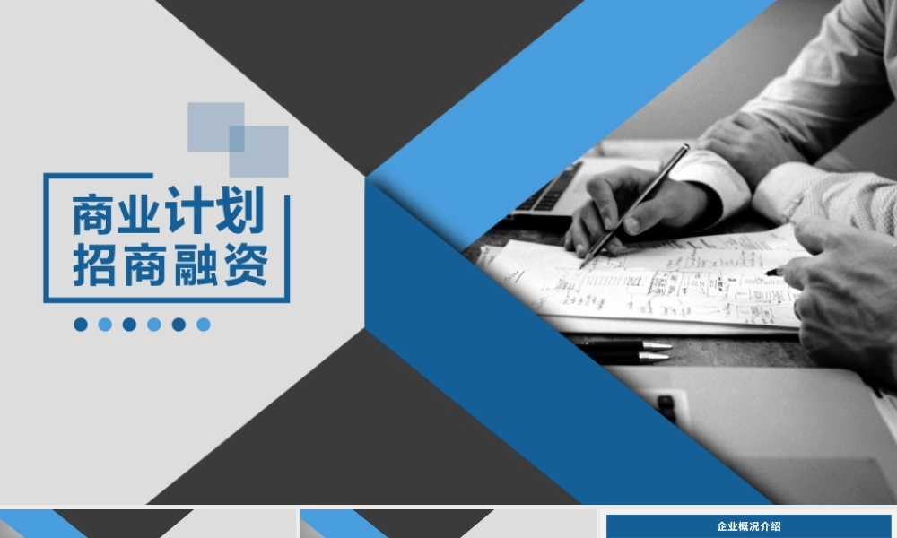 商业计划招商融资