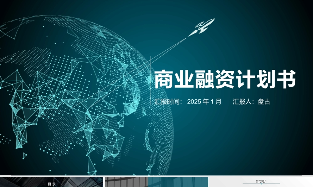 商业融资计划书