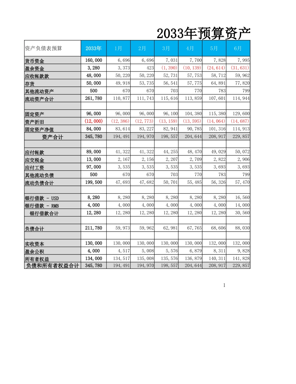 预算资产负债表_第1页
