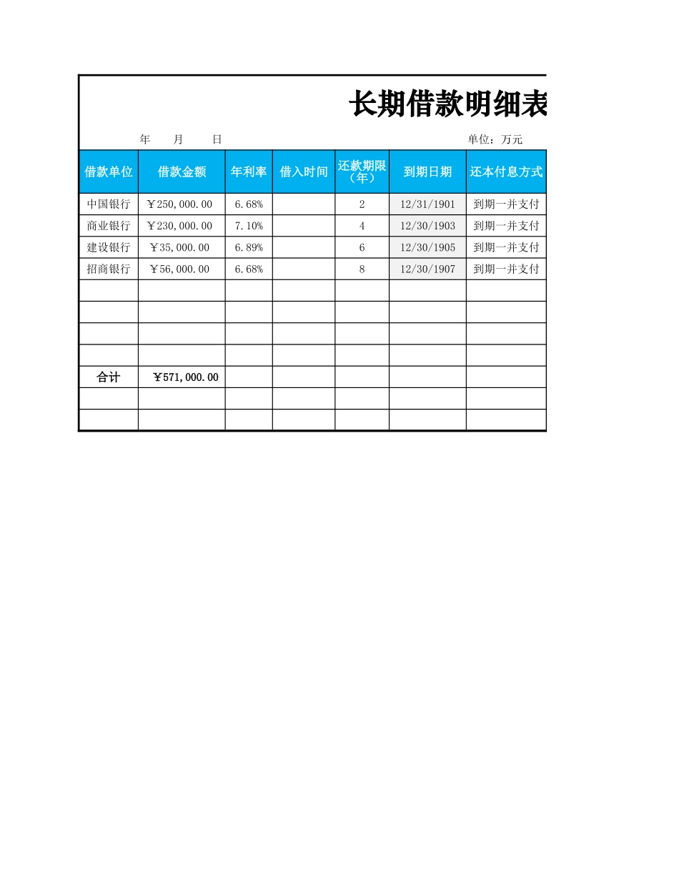 长期借款明细表_第1页