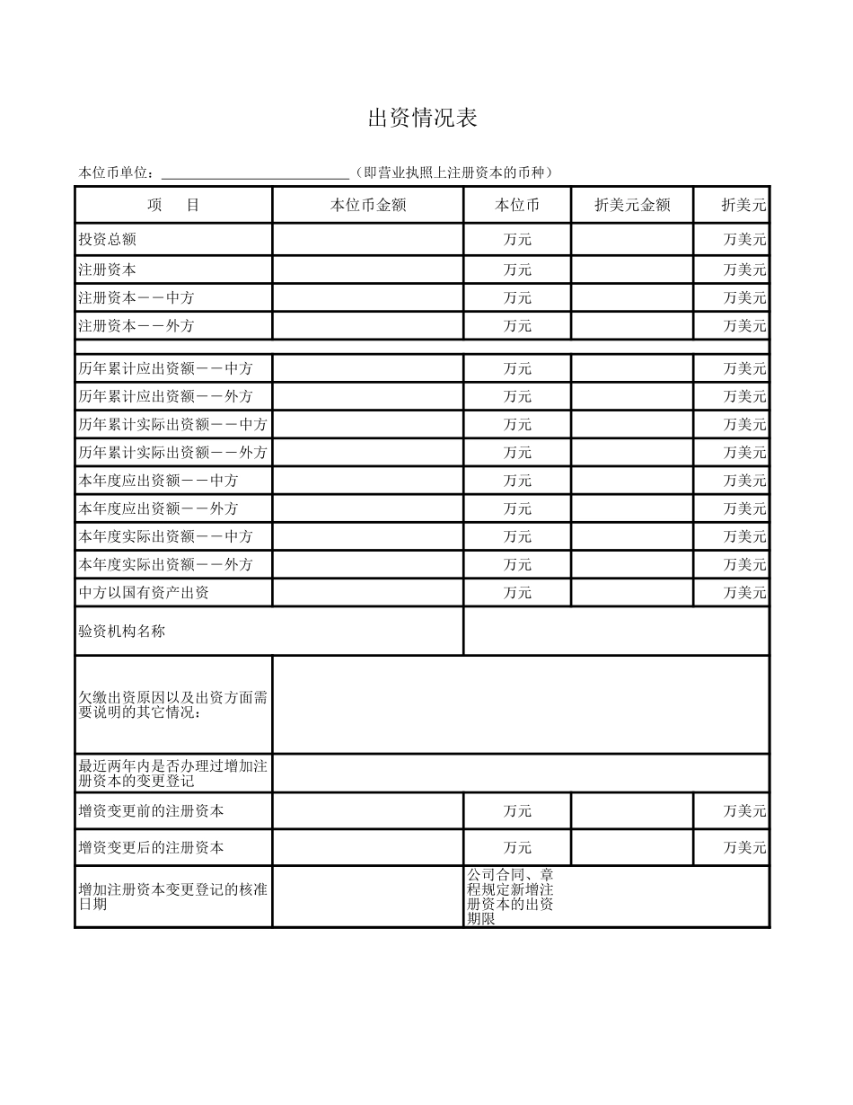 出资情况表【盘古文库】_第1页