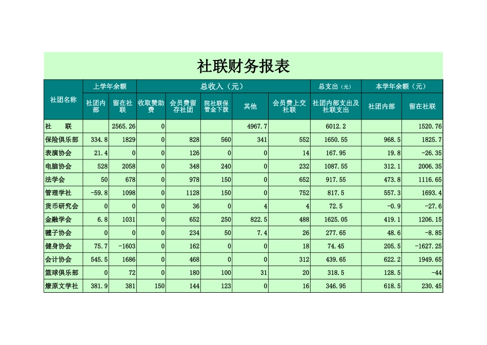 大学社联财务报表【盘古文库】_第1页