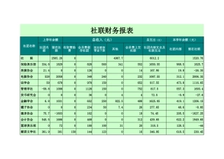 大学社联财务报表【盘古文库】