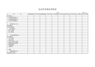 电话经营情况明细表【盘古文库】