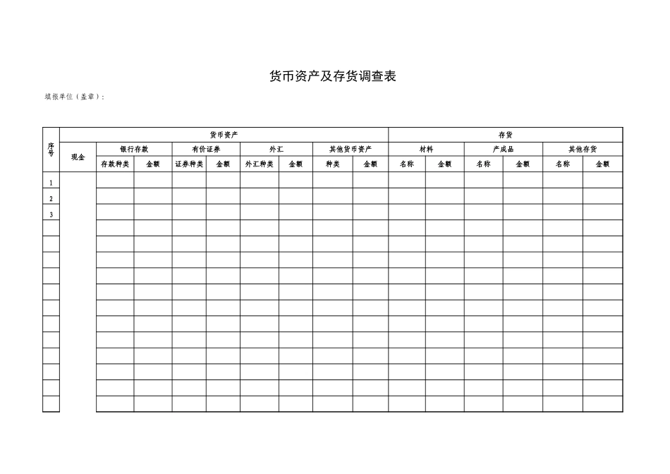 货币资产及存货调查表【文库】_第1页
