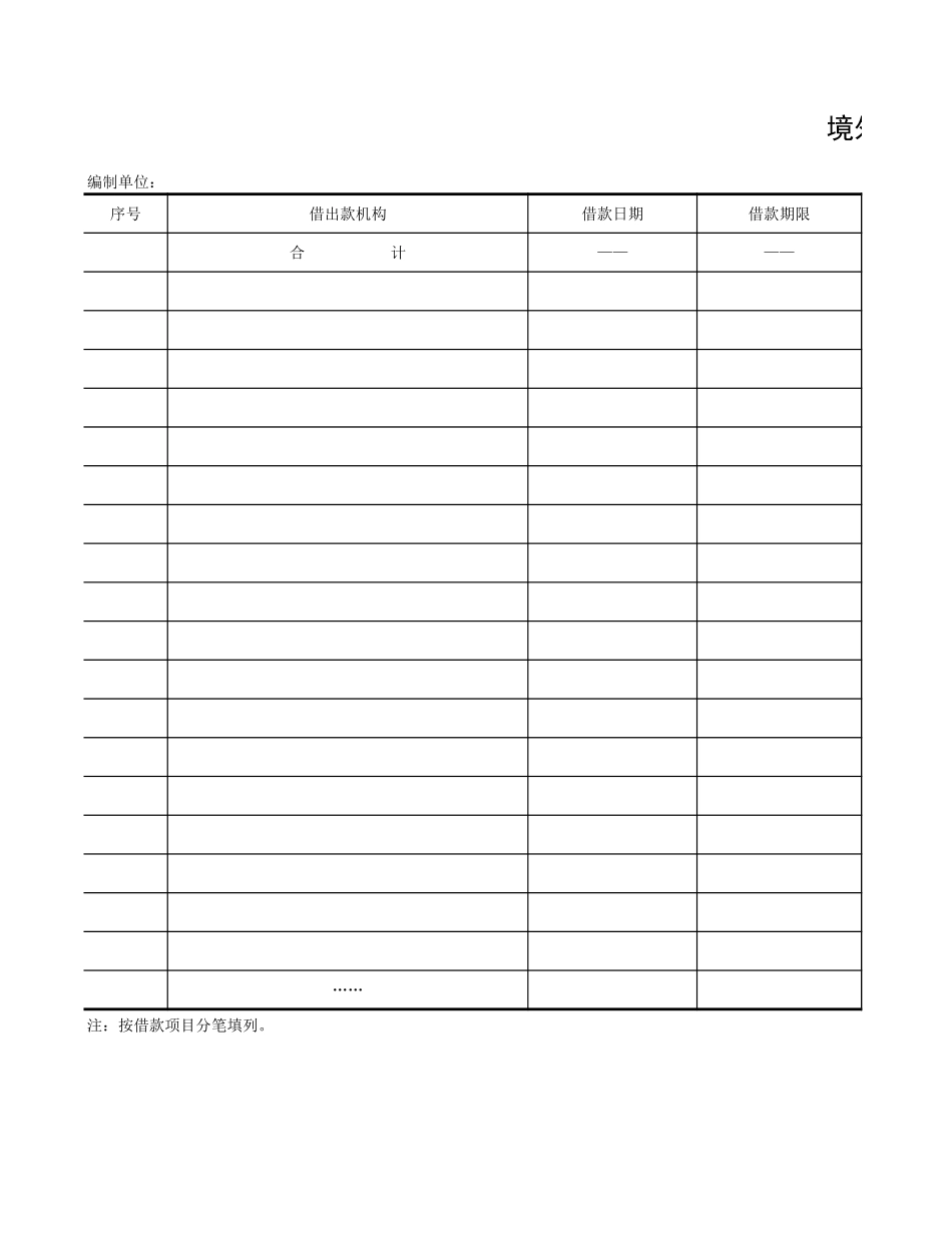 境外外汇借款情况表-文档_第1页