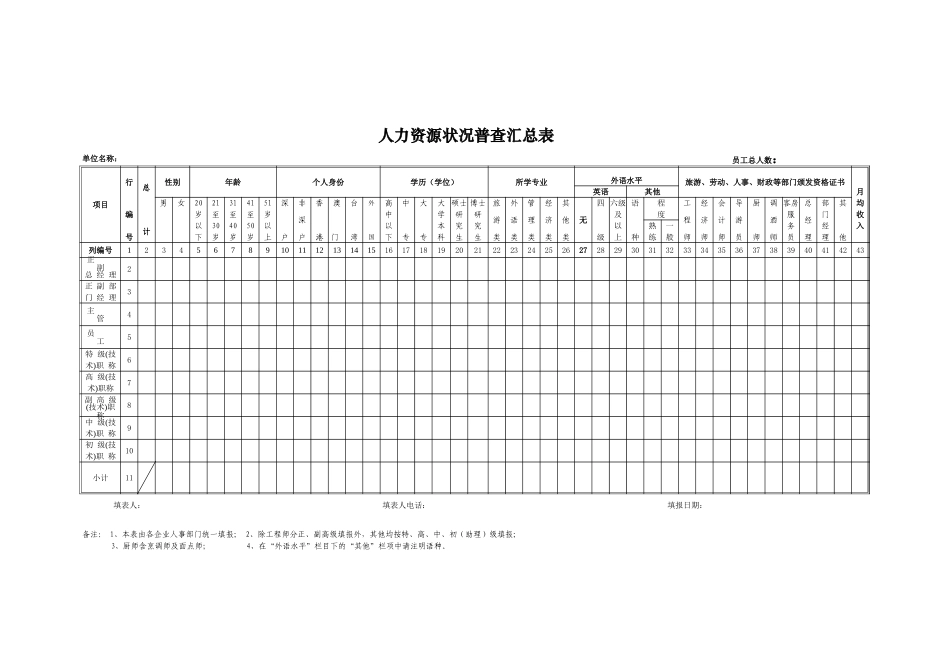 人力资源状况普查汇总表excel表格_第1页