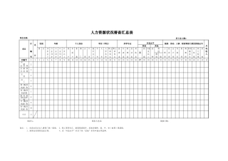 人力资源状况普查汇总表excel表格