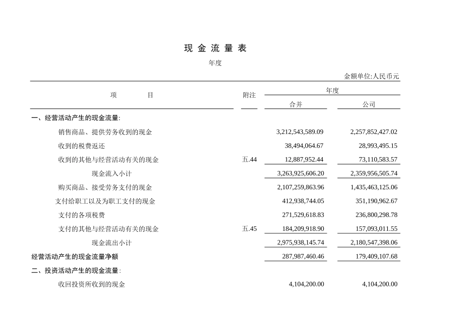 现金流量表-盘古文库免费下载_第1页