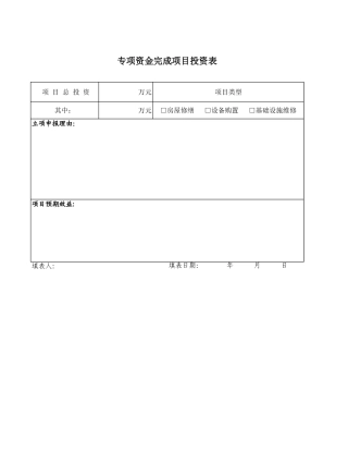 专项资金完成项目投资表-人人文库