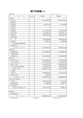 资产负债表3-文库