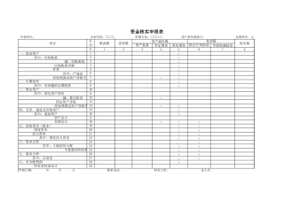 资金核实申报表-盘古文库免费下载
