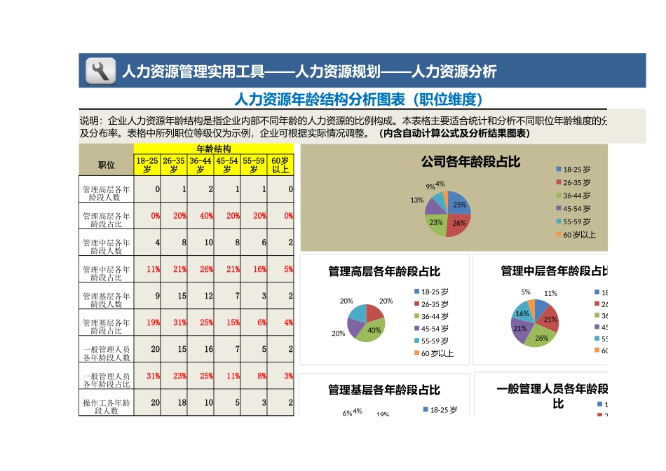 人力资源年龄结构分析（职位维度）_第1页