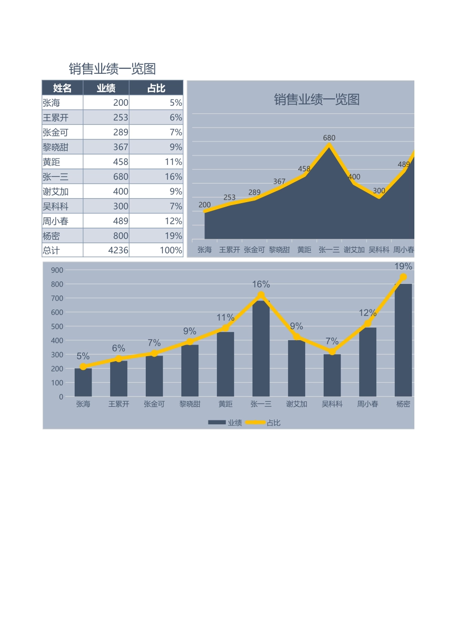 图表模板销量业绩_第1页