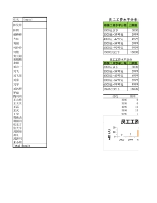 员工工资水平分布表