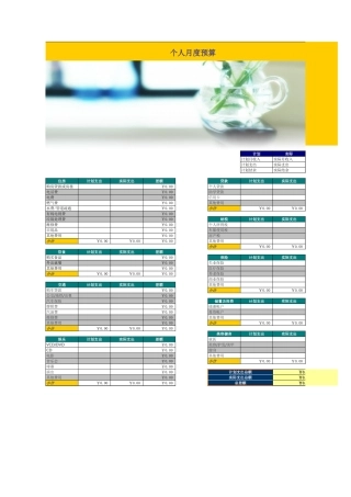 个人月度预算财务表