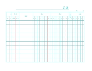 会计使用的帐页