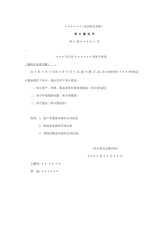 审计报告W-04审计意见书