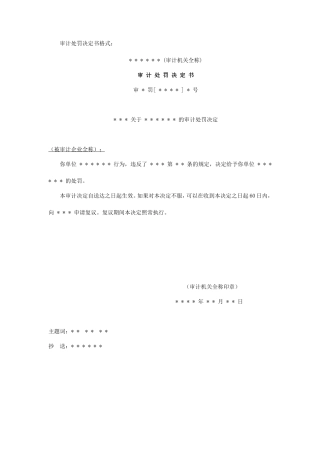 审计报告W-06审计处罚决定书