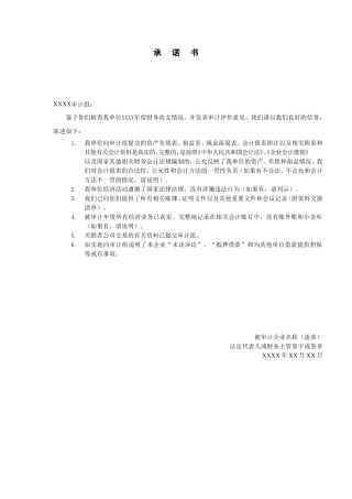 制发审计通知书-02承诺书