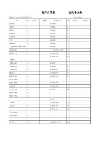 非营利组织-资产负债、业务活动、现金流量表(EXCEL)