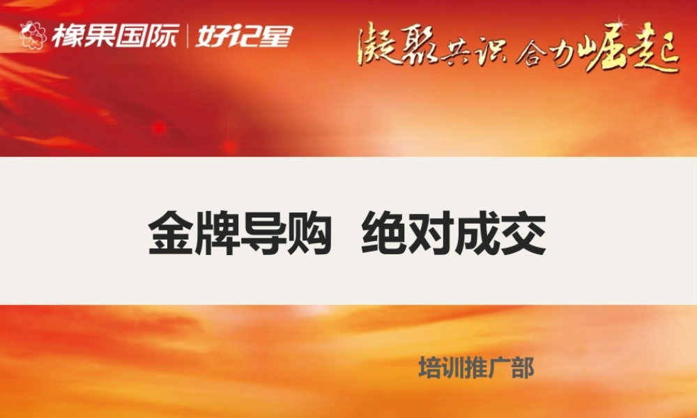 金牌导购——绝对成交12-10pptx美娜-盘古文库销售话术