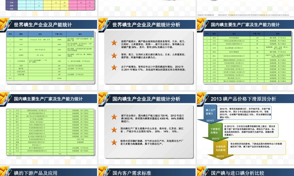 碘市场调研报告-文库大全
