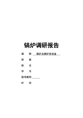 锅炉调研报告-文库大全