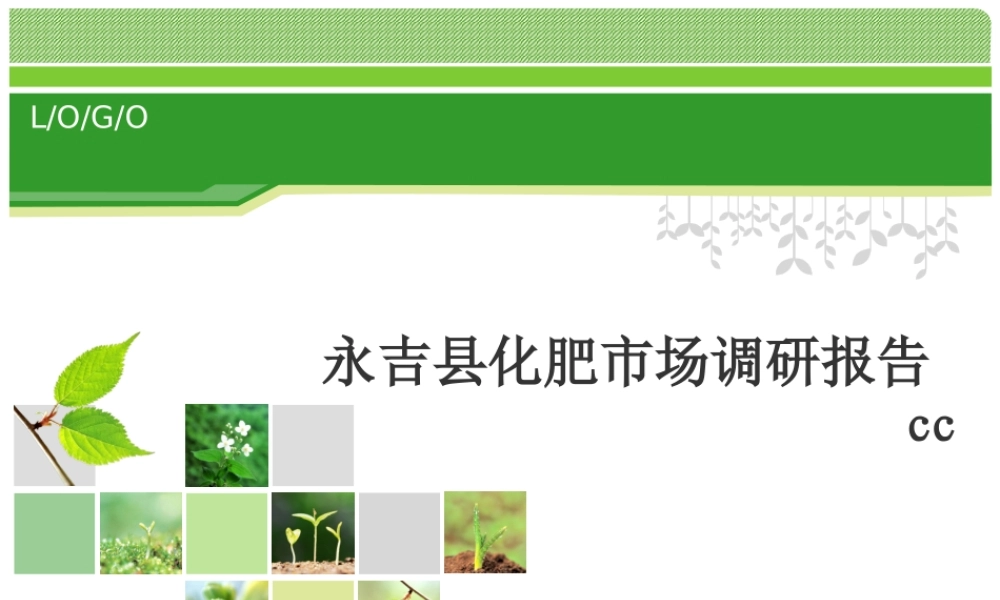化肥市场调研报告-文库大全