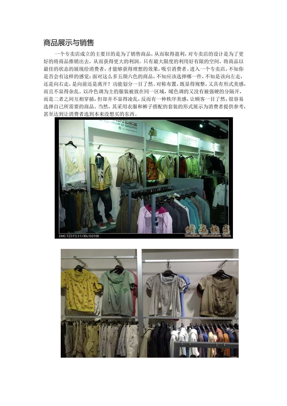 市场调研报告(word版本)-文库大全_第2页