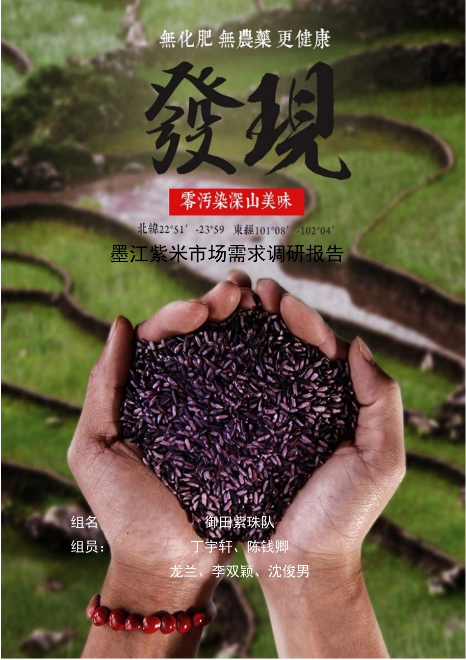市场调研报告模板-文库大全_第1页